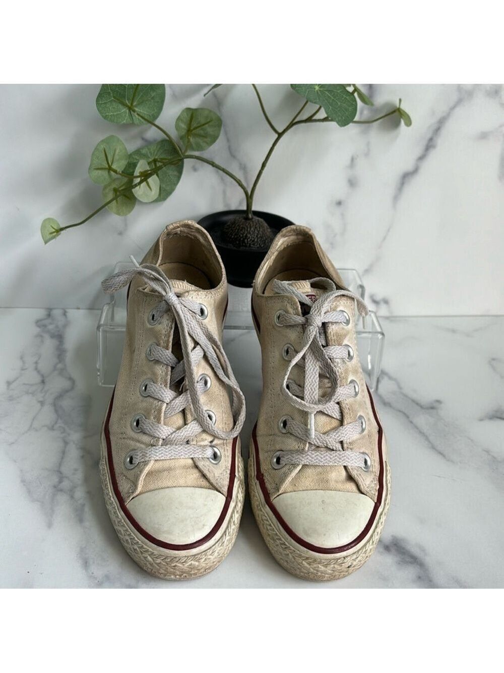 Converse Chuck Taylor All Star Low Optic White Canvas Sneakers W6/M4